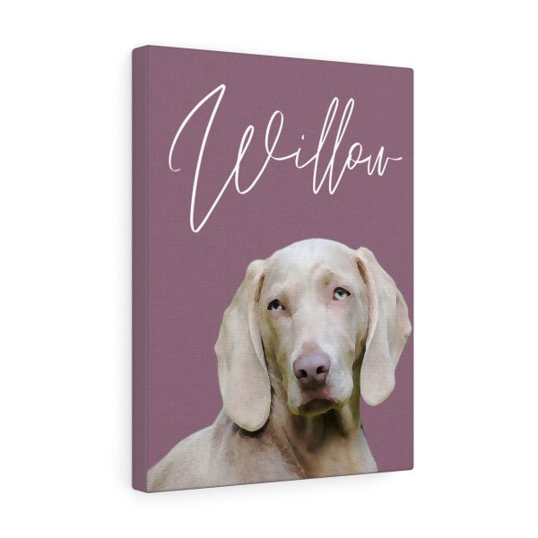 Personalised Pet Pictures