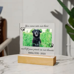 Pet Memorial Acrylic Plaque